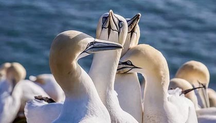 德清最新公积金卡提取现金方法app方法分析(最方便真实的德清公积金卡怎样从手机里取出来?方法)