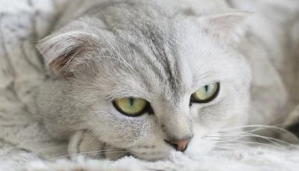 德清最新怎么提现公积金卡里的钱方法分析(最方便真实的德清怎么将公积金提现方法)