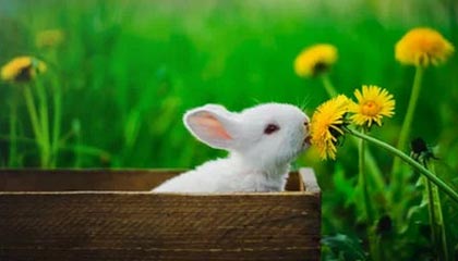 德清最新公积金卡提取现金方法app方法分析(最方便真实的德清公积金卡怎样从手机里取出来?方法)